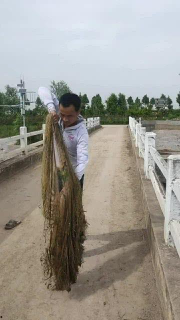 大爷栏杆吃瓜,揭秘街头趣闻轶事