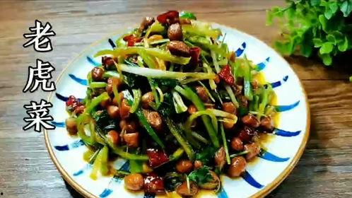 吃瓜老虎菜原创,揭秘美食背后的传奇故事