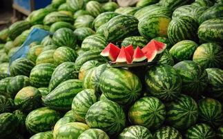 吃喜子瓜胖吗,吃喜子瓜真的会胖吗？