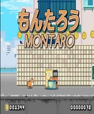 吃瓜网站网站,网络舆论场上的“瓜田”盛景