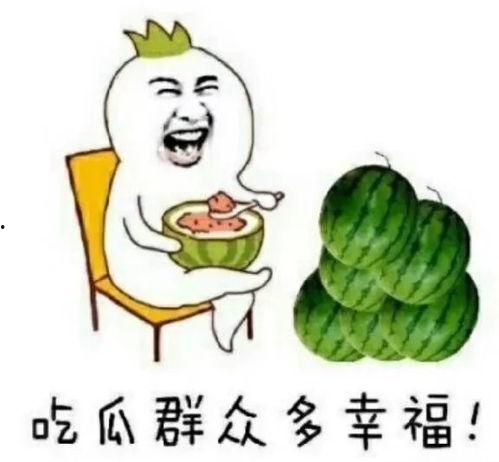 哈圈吃瓜人,揭秘娱乐圈背后的故事与真相
