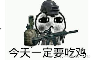 瓜哥和瓜哥吃鸡,一场欢乐的农家乐之旅