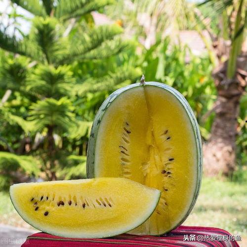 吃瓜的灯,揭秘“吃瓜群众”背后的灯谜世界