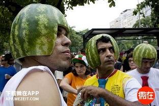 吃瓜前线冷知识,那些你不知道的冷知识