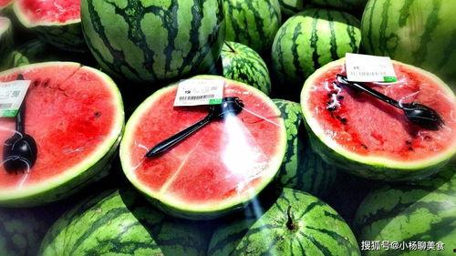 小皮弟吃瓜,小皮弟的瓜田奇遇记