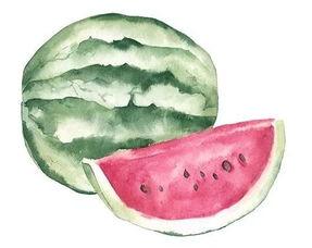 吃瓜上位者,揭秘吃瓜上位者的崛起之路