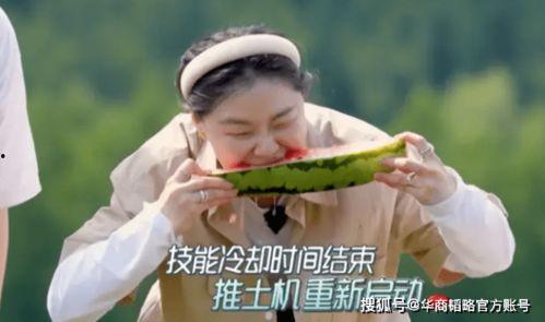 最近国产的吃瓜,揭秘娱乐圈幕后故事