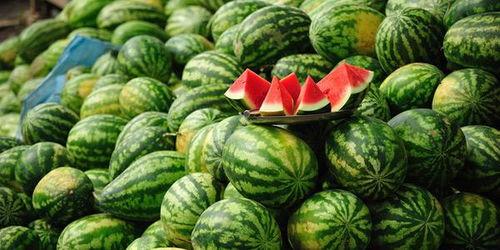 俩人在吃瓜,揭秘两位吃瓜群众的甜蜜邂逅