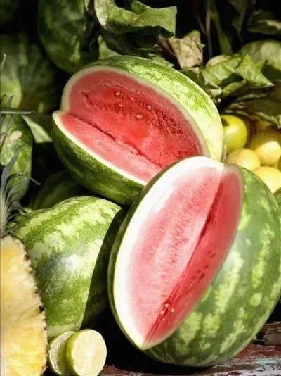 郓城全城吃瓜,全民共享“吃瓜”盛宴