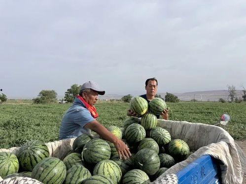吃瓜关山,揭秘娱乐圈背后的故事