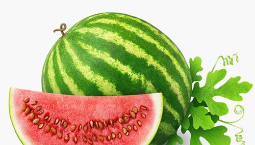 鄢陵卖水果吃瓜,一场卖水果吃瓜的盛夏盛宴